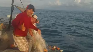 Grupo de pescadores atrapa a un escualo de más de 200 kilogramos en playas de Río Lagartos