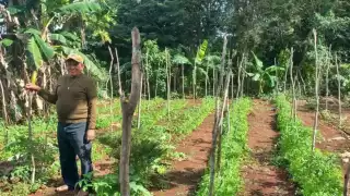 A decir de los trabajadores del campo, este conocimiento era fundamental para garantizar que hubiera buenas cosechas