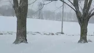Hay serias afectaciones en Estados Unidos por la tormenta invernal