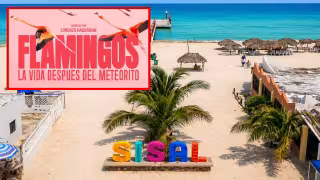 La película explora la cotidianidad de la sociedad del flamenco del caribe