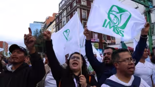 Los manifestantes exigen la instalación de una mesa de diálogo con el Gobierno federal y la dirección del Seguro Social para atender sus demandas laborales