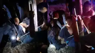 La SSP procedió con la detención del sujeto en Kanasín