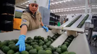 El embajador de estados Unidos en México, Ken Salazar, anunció la suspensión de inspecciones de aguacate y mango en Michoacán