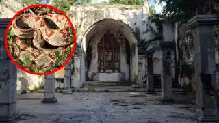 Se dice que el sitio concentra amplia presencia de serpientes de cascabel