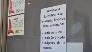 Elabora catálogo con más de 700 fotos para agilizar denuncias de los más de las más de 600 personas afectadas por el fraude del crematorio de animales Xibalbá