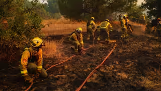 El presidente Pedro Sánchez señaló que los incendios actuales no deben considerarse hechos aislados, sino una consecuencia de una emergencia climática