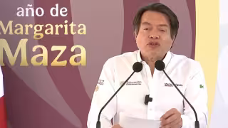Mario Delgado Carrillo, secretario de Educación Pública
