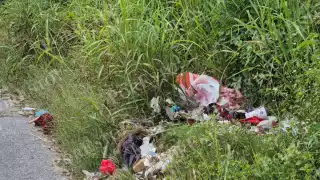 Vecinos de la colonia Guadalupe, en Champotón, denunciaron un lote baldío convertido en basurero al aire libre.