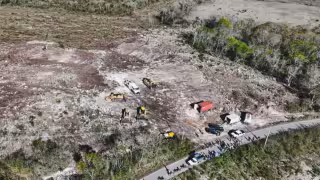 Profepa clausura predio en Tekax por desmonte ilegal de vegetación.