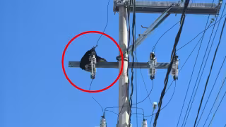 Personal de la JAPAY y de la CFE mantiene trabajos en la zona