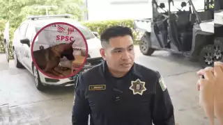 Perros policías fundamental para evitar tráfico de sustancias ilícitas