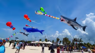 El Festival de Papagayos y Cometas 2026 en Progreso recibirá a decenas de visitantes.