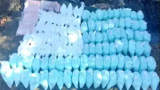 Estos operativos representan una afectación económica conjunta de más de mil millones de pesos al crimen organizado