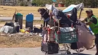 La persona involucrada fue puesta a disposición de las autoridades correspondientes