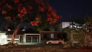 La colonia David Gustavo, se encuentra sin alumbrado público