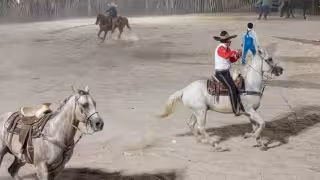 Torneo de lazo en Sucilá termina con un caballo gravemente herido