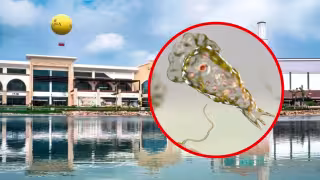 Investigan presunta “ameba comecerebros” en lago de plaza La Isla, Mérida