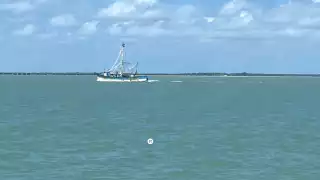 Campeche: líderes pesqueros denuncian abandono institucional y crisis en altamar