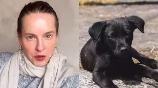 Platas aseguró que la clínica intentó cobrar una cifra exorbitante por practicarle dos cirugías a la perrita