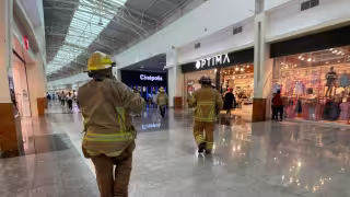 Un panal de abejas africanizadas fue retirado de una sala de cine en Plaza Las Américas Chetumal.