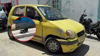 Una mujer y su hijo que viajaban en motocicleta resultaron lesionados tras ser impactados por un auto compacto en el barrio de San Francisco, Campeche.