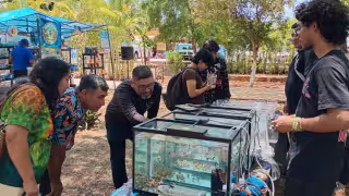 Se podrá acceder a espacios dedicados a proyectos de conservación, dinámicas, regalos y actividades patrocinadas para toda la familia