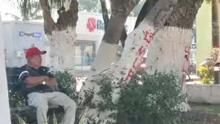 Plaza “Ángel Castillo Lanz” amanece con pintas; vecinos cuestionan seguridad en el centro de Champotón