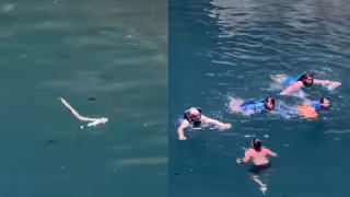¡Qué susto! Serpriente le cae encima a bañista en cenote de Yucatán y salen despavoridos