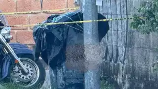 Así lucía el bote de basura donde fueron localizados los restos humanos en Playa del Carmen