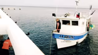 Con esta intervención, la Semar refuerza su estrategia de combate a la pesca ilegal