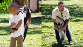 El mono participó en la sesión de fotos, integrándose a los recuerdos de la familia