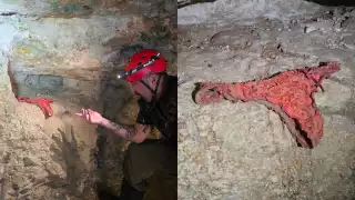 El hallazgo también motivó diversas bromas por parte de los internautas