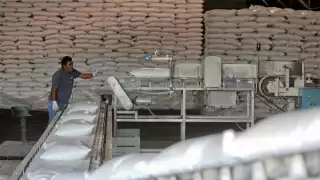 La Secretaría de Economía señaló que mantiene mesas de trabajo con productores y actores de la cadena azucarera