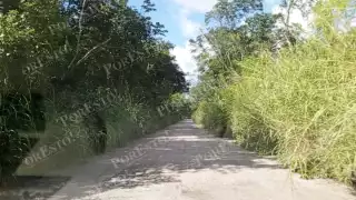 Sin apoyo gubernamental, pobladores limpian tramo clave en Champotón