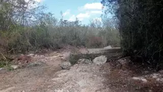 La SDS determina el daño ambiental ocasionado por la destrucción de 12 kilómetros de selva