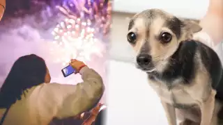 Fiestas patrias y ferias de San Román y San Francisco incrementan el uso de pirotecnia en Campeche.