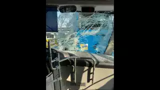 El STE informó que colaborará con las autoridades correspondientes para esclarecer los hechos