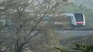 ¿En qué sedes del Tren Maya aplicará esta medida?