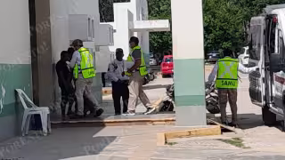 Dos personas resultaron lesionadas por picaduras de abejas africanas en Bécal, Calkiní.