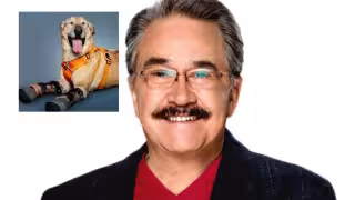 Señalan a Pedrito Sola de supuestamente maltratar al perrito “Pay de limón”.
