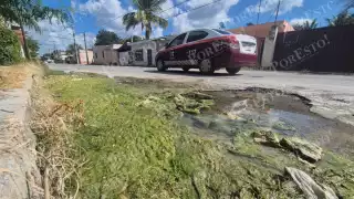 Fuga de agua potable evidencia negligencia urbana en la calle 20