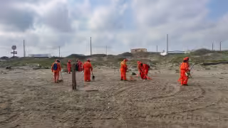 Petróleos Mexicanos informó que ha desplegado a 780 trabajadores en labores directas de limpieza