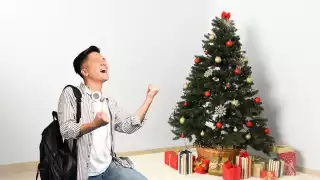 Festividades de Navidad y Año Nuevo