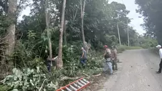 Previenen corto circuito en comunidad rural de Campeche