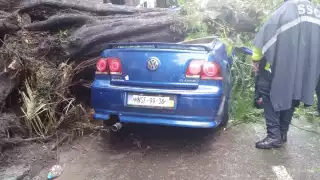 Así terminó el automóvil en Ciudad de México