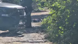 Vecinos reportan detonaciones previas al hallazgo de cuerpo en Playa del Carmen