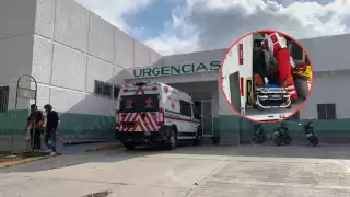 Un adulto mayor de 79 años fue atacado por un enjambre de abejas en la colonia La Cruz, en Champotón.