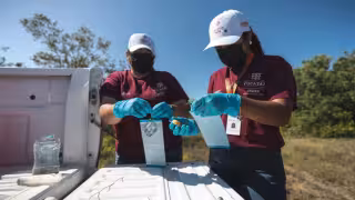 Hasta el momento no se registran fallecimientos de animales