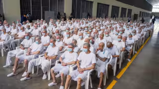 Especialistas señalan que los juicios colectivos podrían dificultar la individualización de responsabilidades