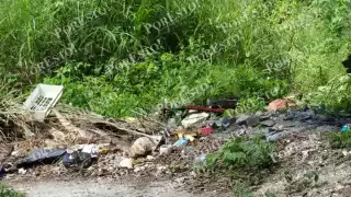 Denuncian riesgo sanitario por lote baldío en colonia de Champotón